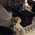 Cathy Marie Figueroa's profile image