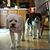 Julie Jackson's profile image