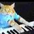 Louis Marinelli's profile image