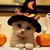 Donna L Douglass-Price's profile image