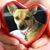 Colleen Jo Shanley-Penfield's profile image