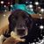 Heather Leiann's profile image