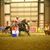 Emily Hoover's profile image