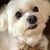 Johnene Martens's profile image