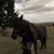 Michelle Brown's profile image