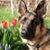 Catherine Stinett's profile image
