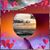 Micki Johnston's profile image