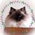 Wendy Carroll's profile image