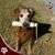 Lisa Trudell's profile image