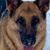 Cori Surbaugh's profile image