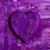 Wendy Wagemans's profile image