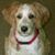 Debra Masselink's profile image