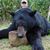 Keith Giddens's profile image
