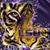 Debbie Burrows Allen's profile image