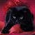 MzlLil Bitz's profile image