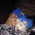 B Regina Taylor's profile image