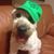 Sergio A. Castrillo's profile image