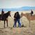 Shelly Kinnick's profile image
