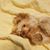 Yoani Hinton's profile image