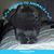 Kathy A Dottery's profile image