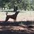 Lori Hicks's profile image
