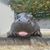 Rebecca Morr's profile image