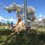 Zahra Dieter Tappe's profile image