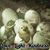 Sherl H. Engel's profile image