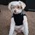 Mark Melendez's profile image