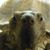 Terry Montgomery's profile image