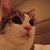 SunYoung Alice Lee's profile image