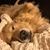 Julie Baker's profile image