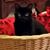 Patti VanScoy's profile image
