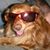 Donnie Burris Jr.'s profile image