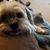 Julianne K. Morrison's profile image