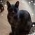 Colleen Luetschwager's profile image