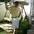 Gilbert Rolon's profile image