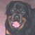Terry Gaddis's profile image
