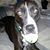 Michael Boggs's profile image