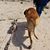 Bernadette Griggs's profile image