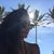 Avni Harit's profile image
