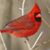 Jacque Cobb's profile image