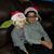 Maria Mcvey's profile image