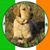 Betty Ann Peeler's profile image