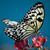 Mary Ann Teich's profile image