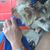 Tess Groyon Gruber's profile image