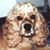 Bill Whicker's profile image