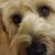 Trudi Biggs's profile image
