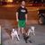 David Crippen's profile image