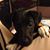 Karyn Boyd's profile image